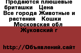 Продаются плюшевые бриташки › Цена ­ 2 500 - Все города Животные и растения » Кошки   . Московская обл.,Жуковский г.